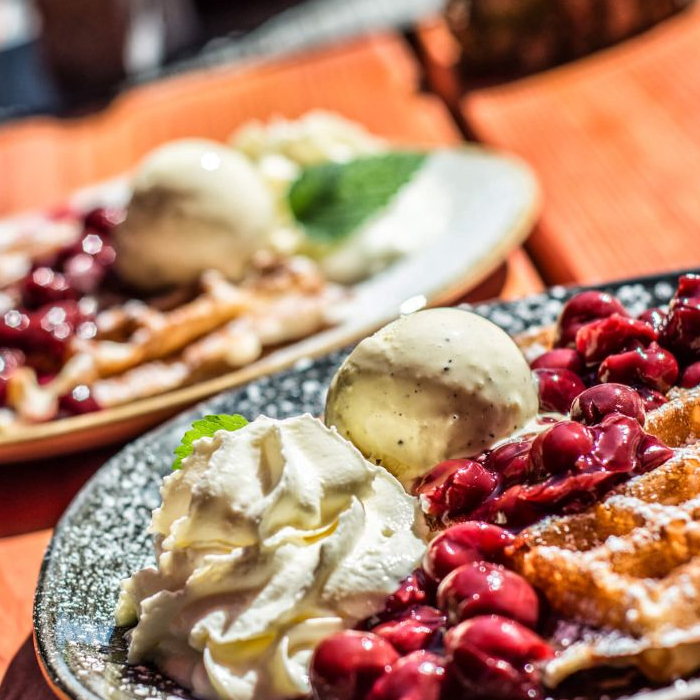 buckelt, Addition, Werte, Endergebnis, Score, kontrollieren, verletzt, Reglement, Verletzung, Disqualifikation, no score, Freestyle Reining, Zuschauermagnet, freigestellt, interpretieren, Musik, Kür, Dressur, vergleichen, Dressurkür, Interpretation, Kostüm, Sattel, Zaumzeug, Palette, Wettbewerb, Meisterschaft, Weltreiterspiele, Weltmeisterschaft, Reining-Europameisterschaft, FEI-Disziplin, Reining-Verband, Million Dollar Earners, Turnier-Pferd, Turnierpferde-Besitzer, Mutterstuten, Turnierpferden, Vatertiere, NRHA-Wettbewerb, Laufbahn, Million Dollar, One Million Dollar Run, Las Vegas, FEI-Einzelweltmeister, Shawn Flarida, Duane Latimer, Tom McCutcheon, Bernard Fonck, Europameister, Grischa Ludwig, Gina-Maria Bethke, Andrea Fappani, Status, Eight Million Dollar Rider, Wanderreiten, Reiterhof, Bayerischen Wald, Urlaub, Bayern, Bestand, Araber, Lusitano, Andalusier, Landschaft, erkunden, Anfänger, Könner, geführt, Ausritt, geländesicher, Nationalpark, Donau, verborgen, Schönheit, Gegend, Eintagesritt, erleben