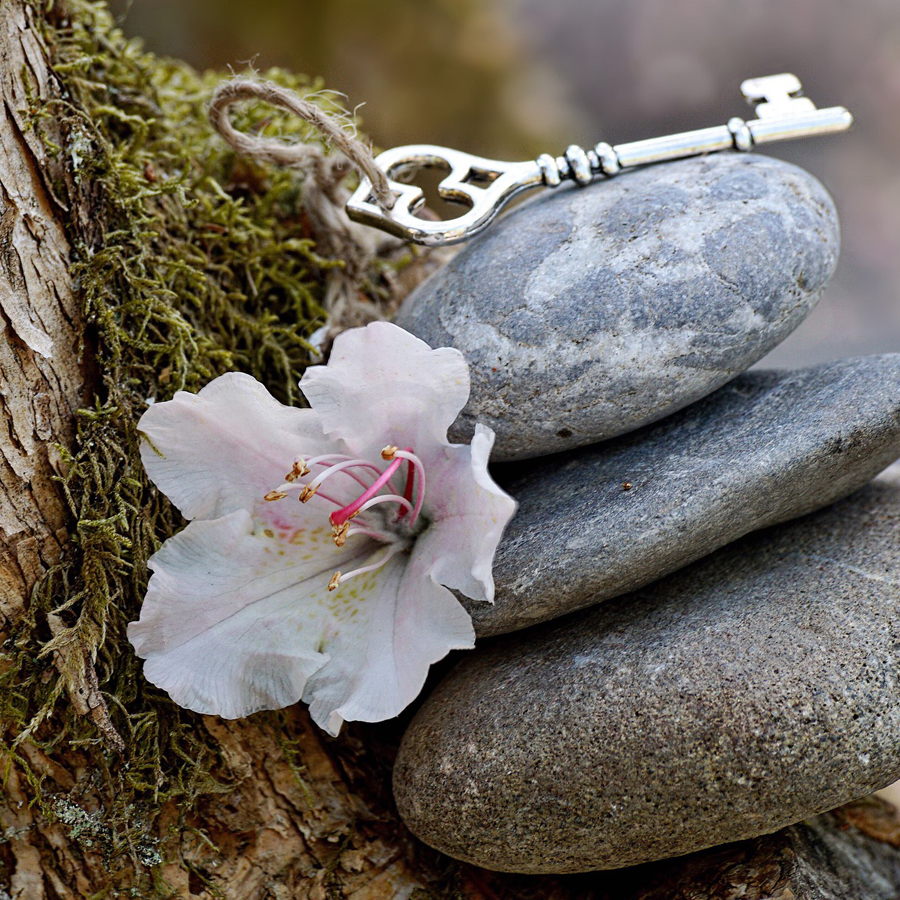 Psychotherapie für Erwachsene Landkreis Rottal-Inn. Besuchen Sie die Heilpraxis Mitterer in Falkenberg: Psychotherapie & Begleitung bei Stress für Patienten aus Pfarrkirchen & Umgebung.