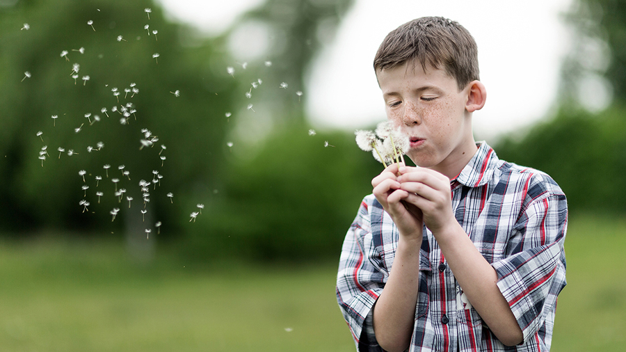 Webdesign Pfarrkirchen: Homepage & Onlineshop vom Profi. Jetzt digitalen Erfolg starten!